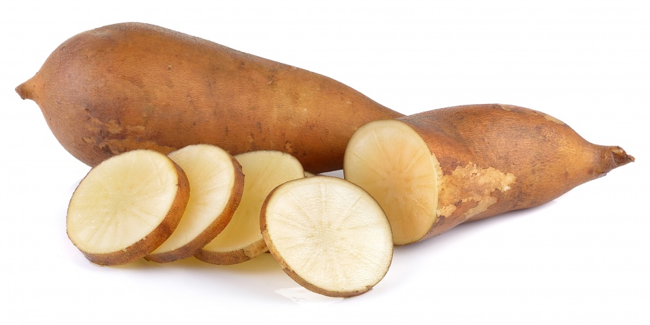 El universo del yacón 4 yacón