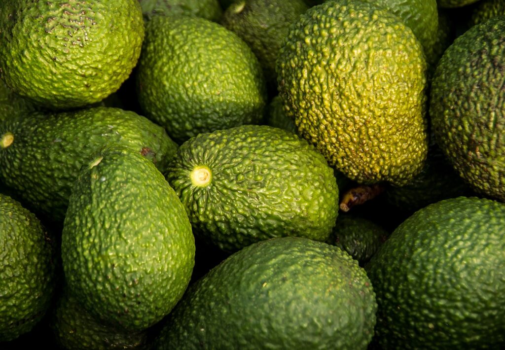 A paso firme: el aguacate sigue ganando terreno fuera del país 1 hass avocado 882635 1920